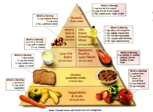 The DASH Diet Pyramid